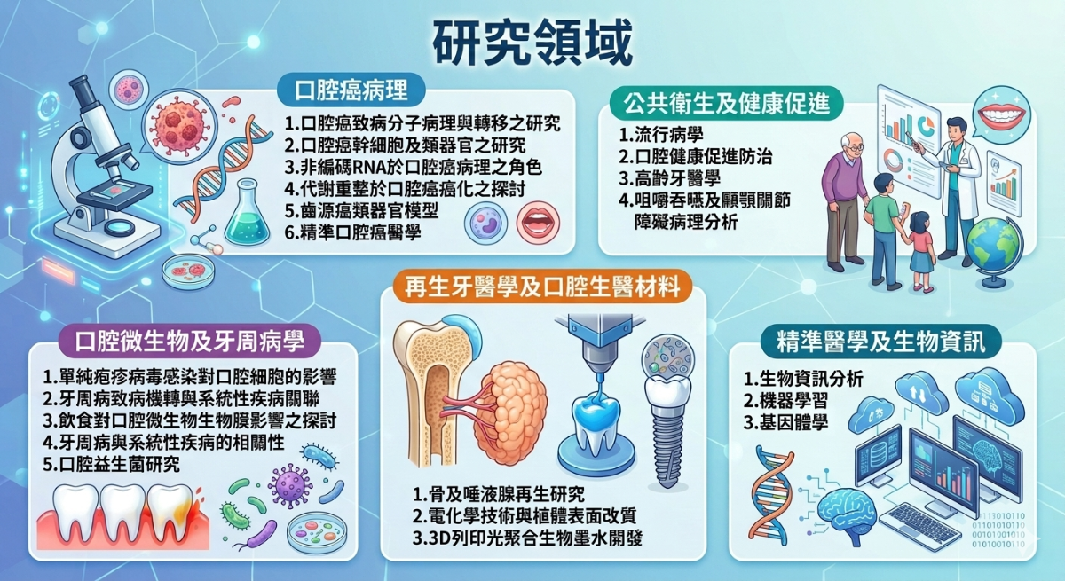 研究領域
